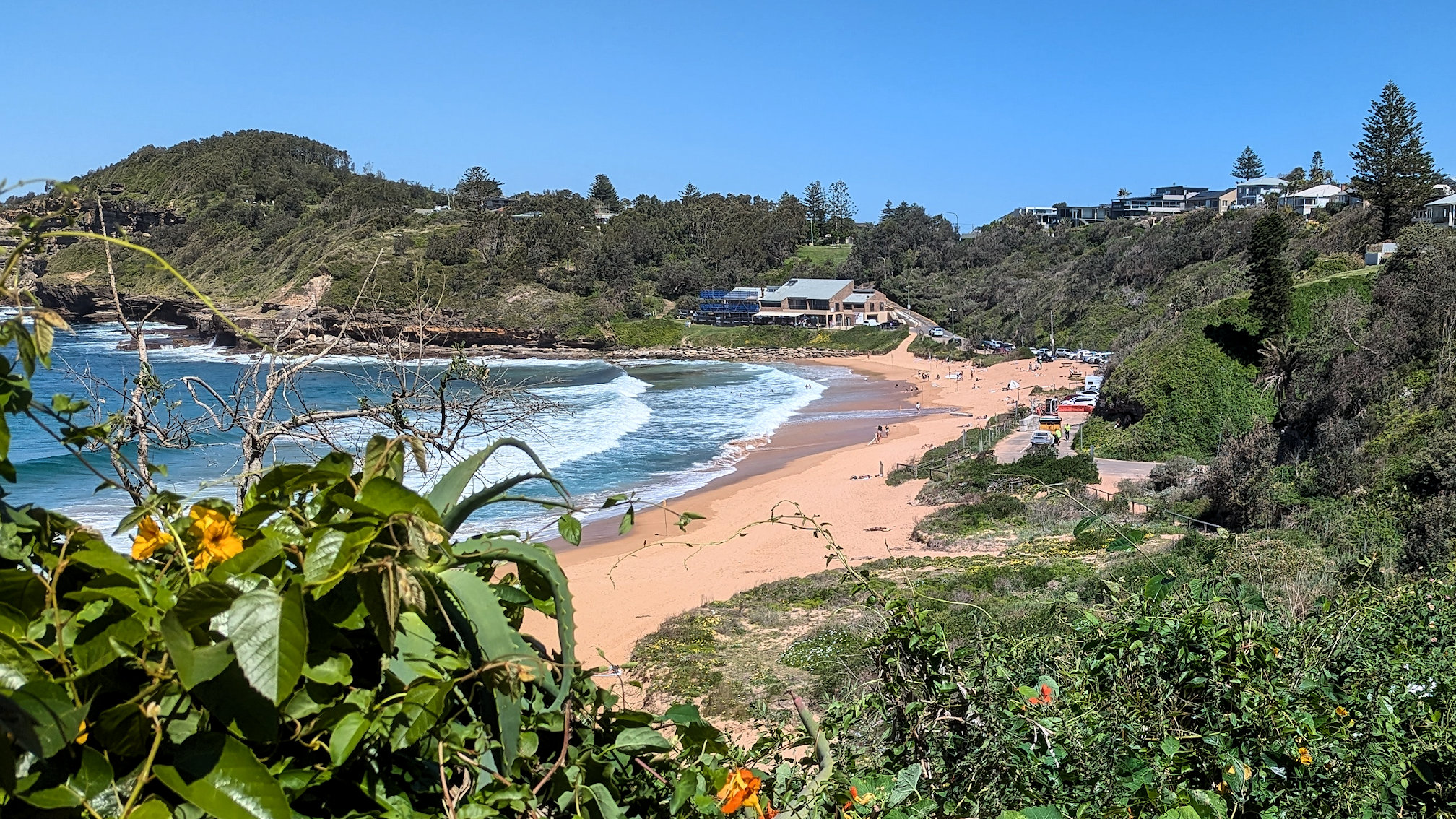 mona_vale track (2)